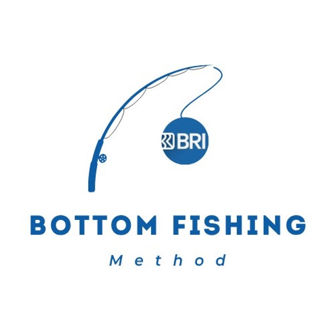 Bottom Fishing
